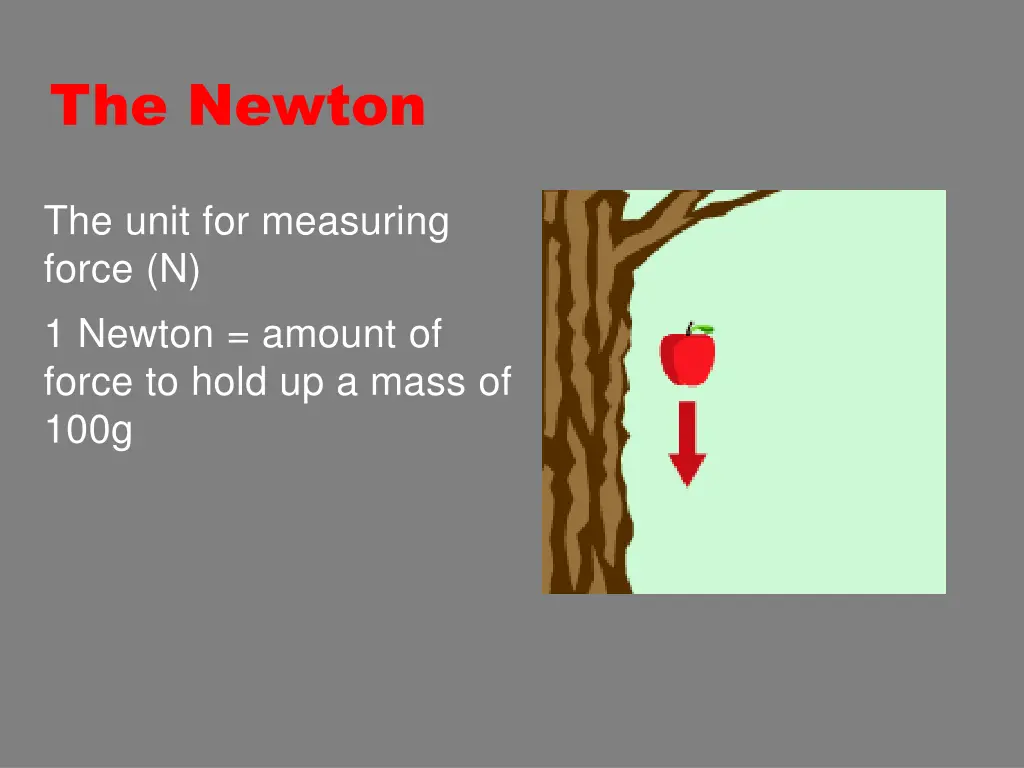 the newton