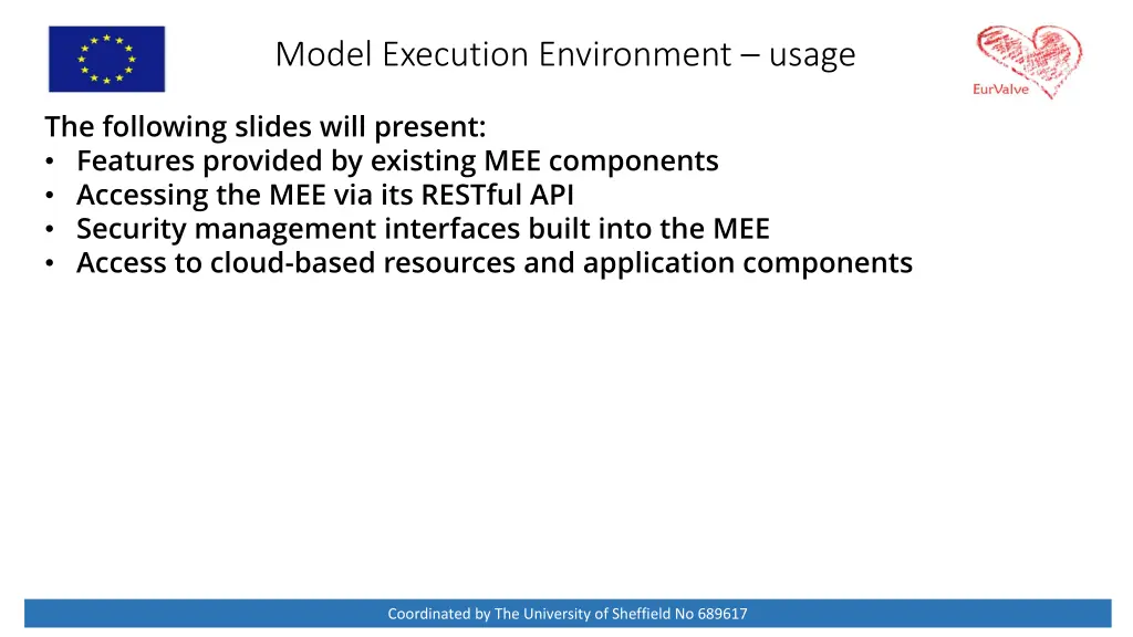 model execution environment usage