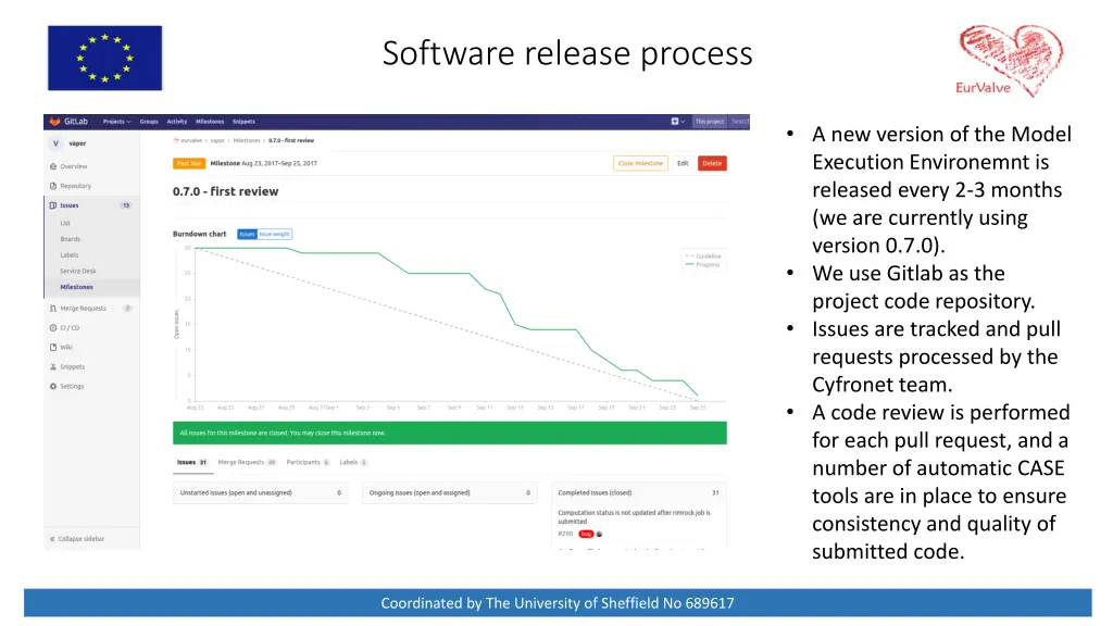 software release process