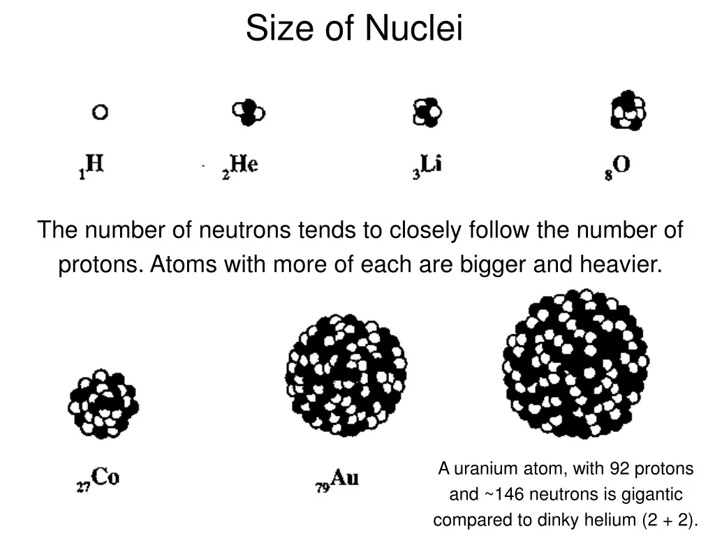 size of nuclei