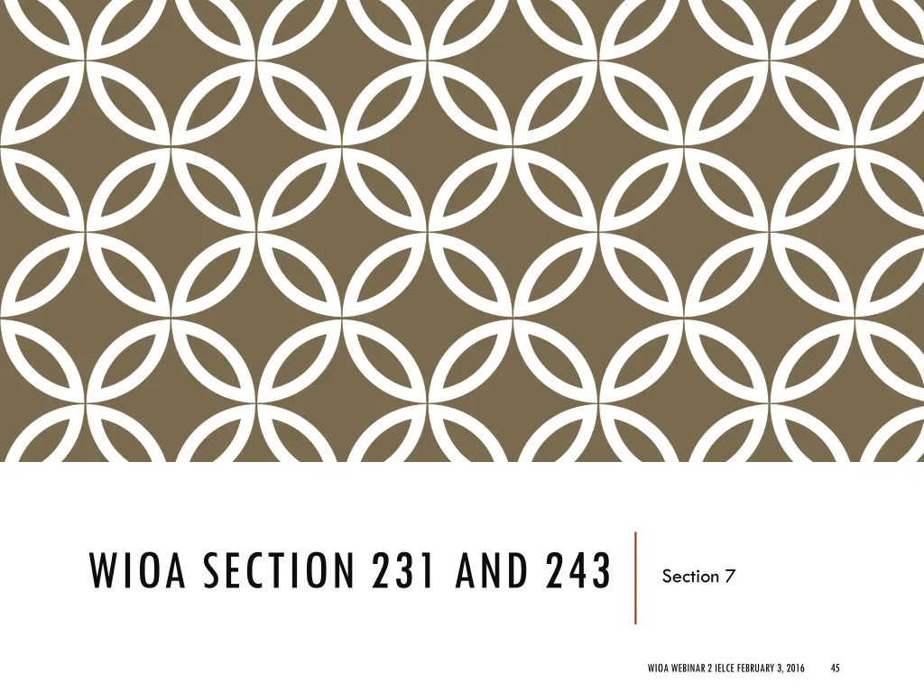 wioa section 231 and 243