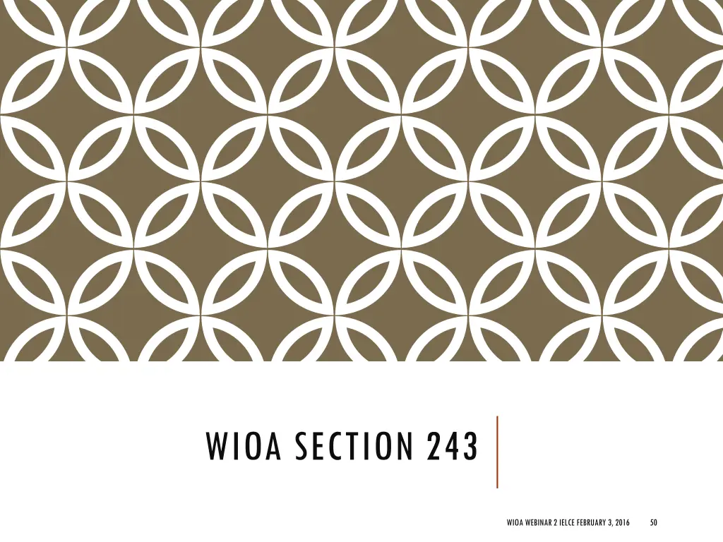wioa section 243