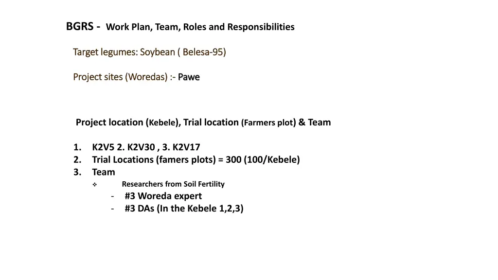 bgrs work plan team roles and responsibilities 1