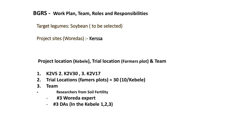 bgrs work plan team roles and responsibilities