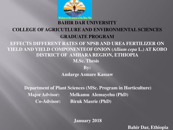 bahir dar university