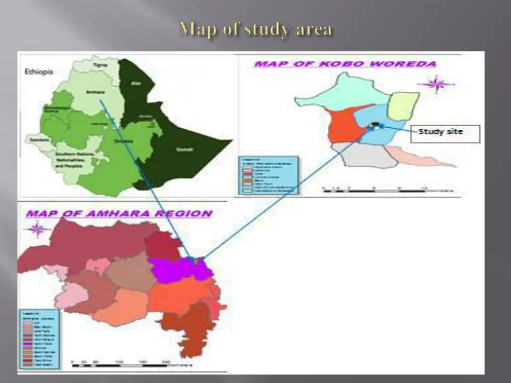 slide10
