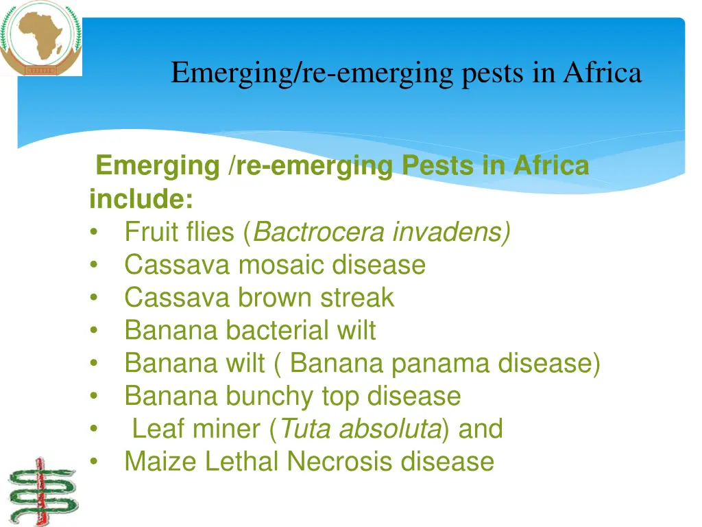 emerging re emerging pests in africa