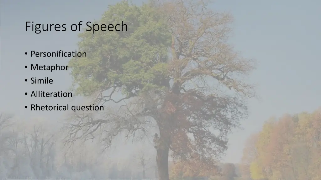 figures of speech