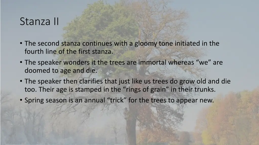 stanza ii
