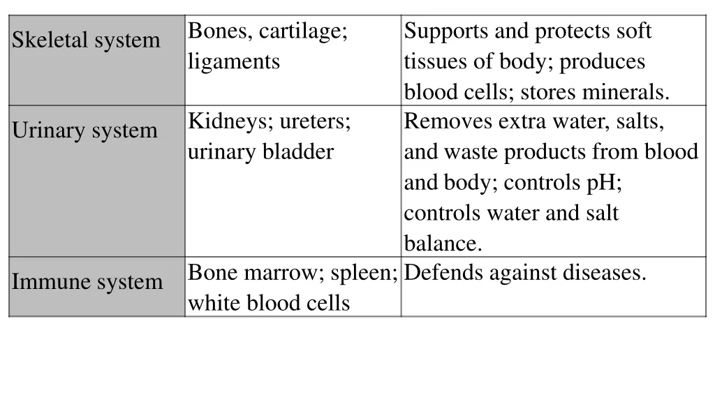 bones cartilage ligaments