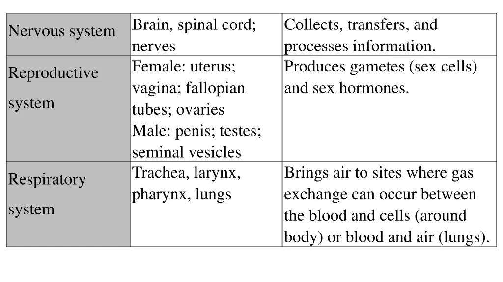brain spinal cord nerves female uterus vagina