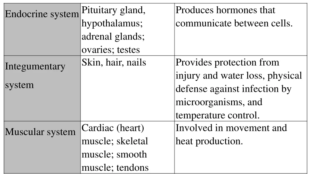 endocrine systempituitary gland