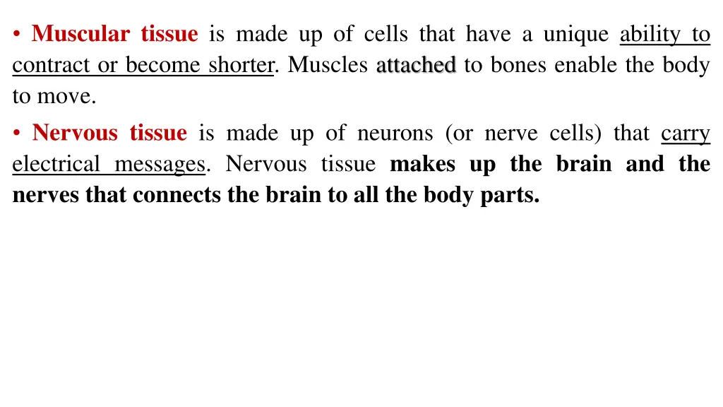 muscular tissue is made up of cells that have