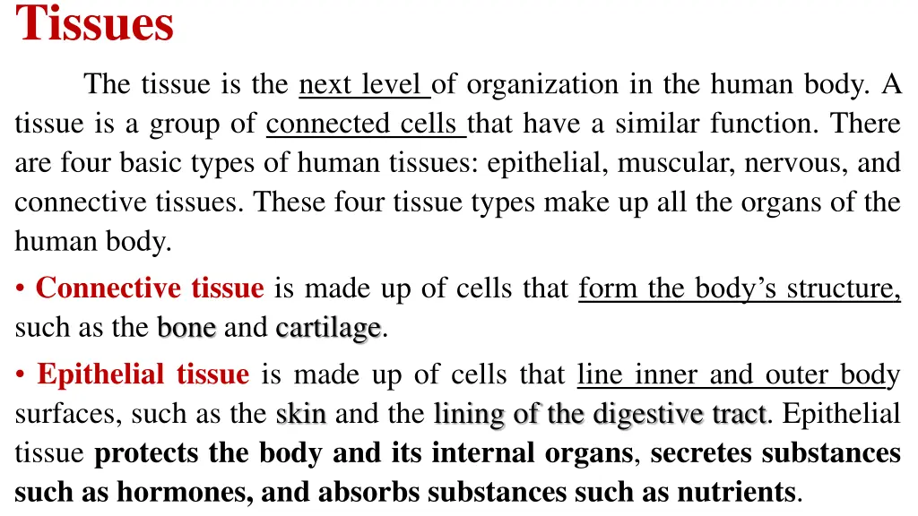 tissues the tissue is the next level