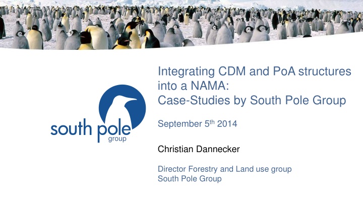 integrating cdm and poa structures into a nama