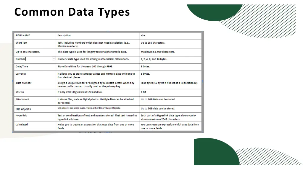 common data types
