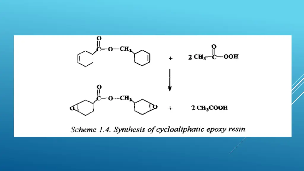 slide24