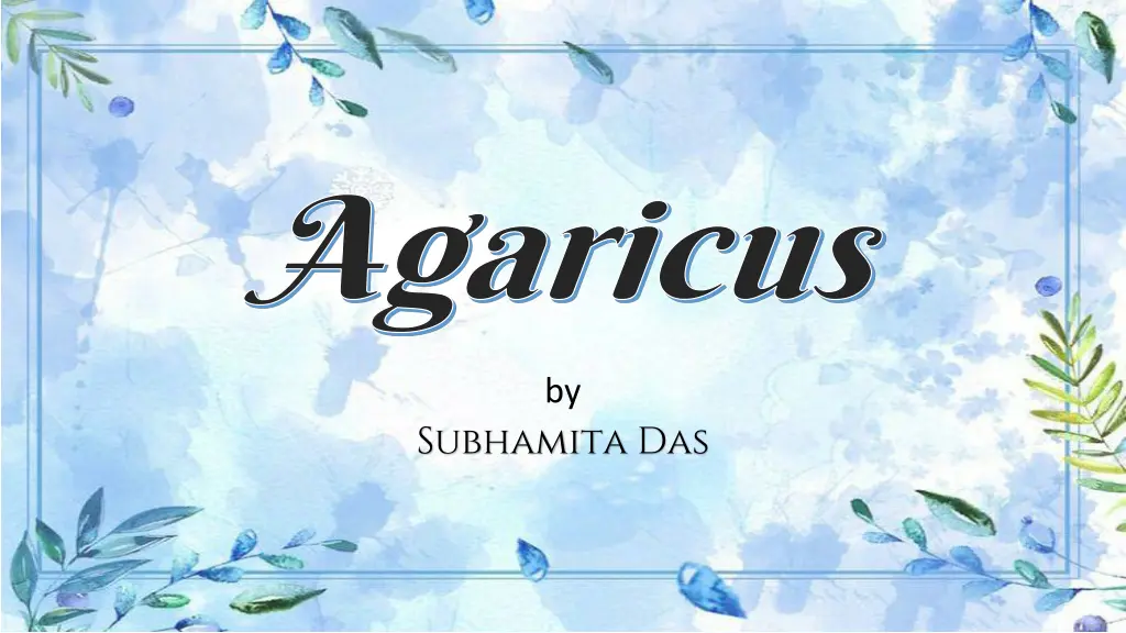 agaricus