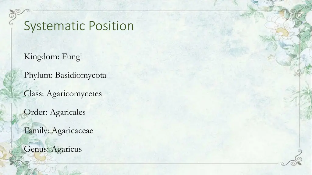 systematic position