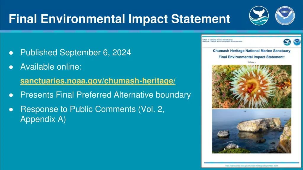 final environmental impact statement