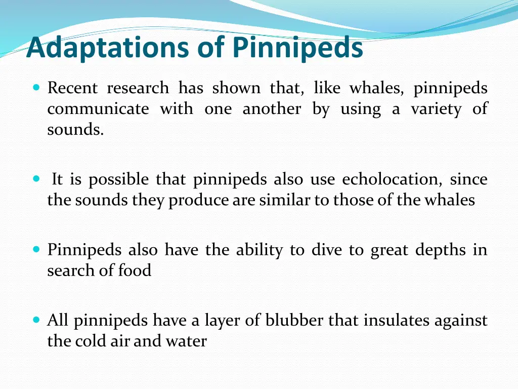 adaptations of pinnipeds