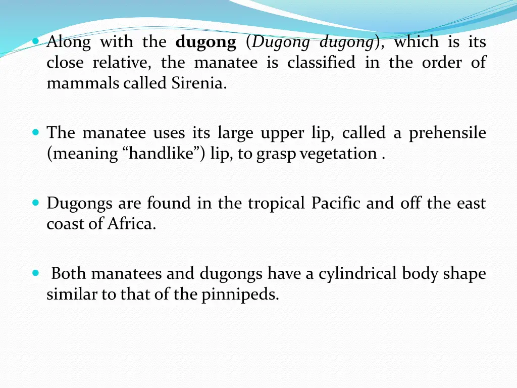 along with the dugong dugong dugong which