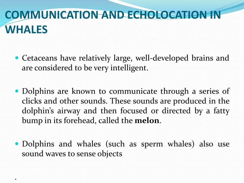 communication and echolocation in whales