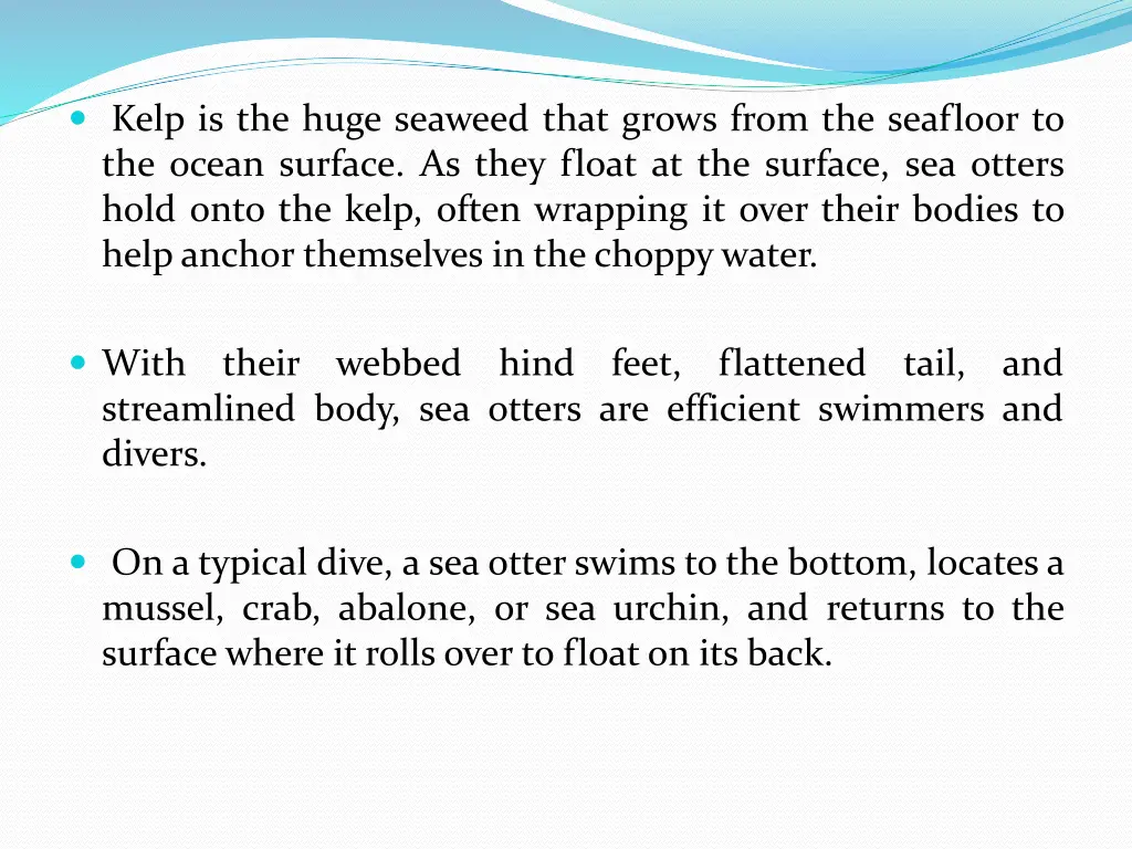 kelp is the huge seaweed that grows from