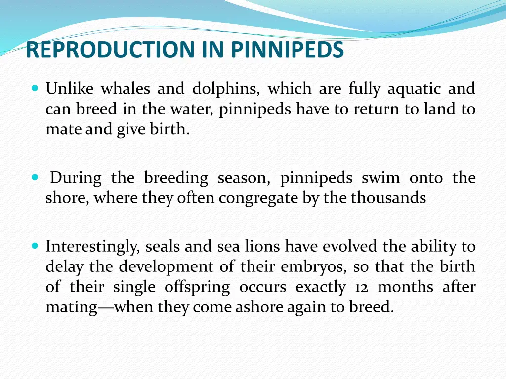 reproduction in pinnipeds