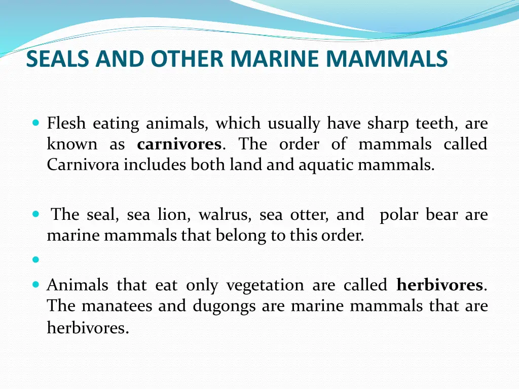 seals and other marine mammals