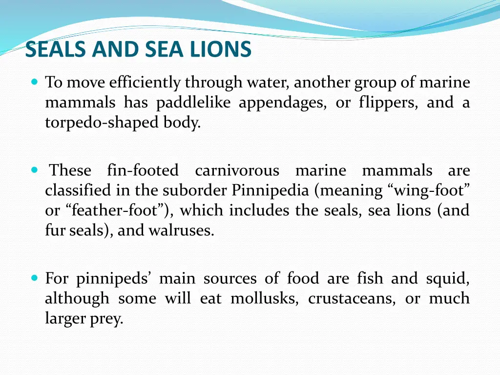 seals and sea lions