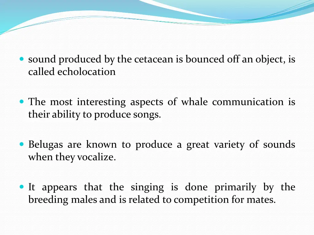 sound produced by the cetacean is bounced