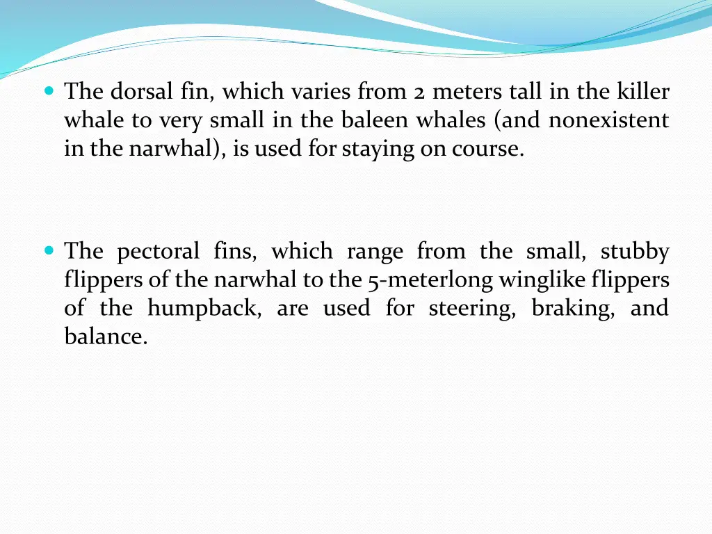 the dorsal fin which varies from 2 meters tall