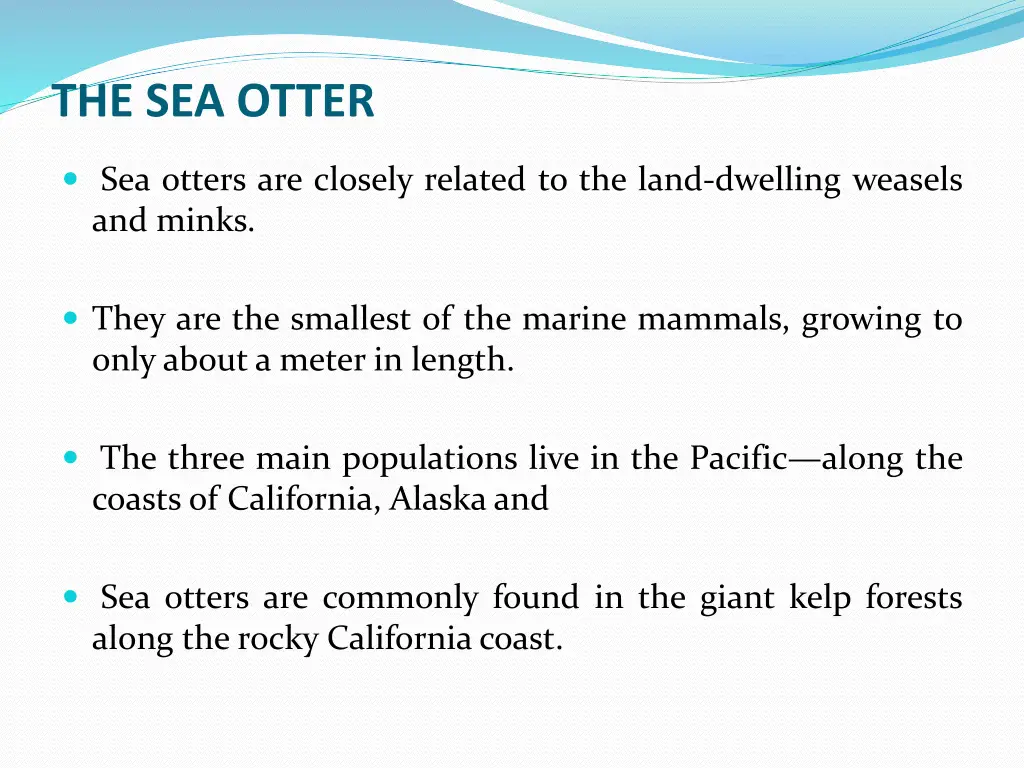 the sea otter
