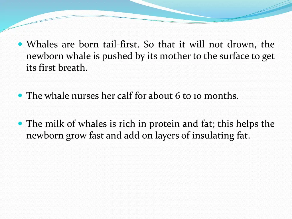 whales are born tail first so that it will