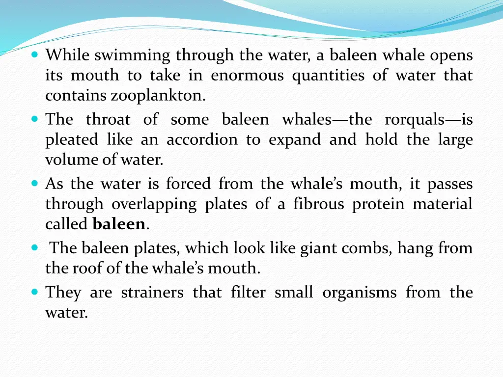 while swimming through the water a baleen whale