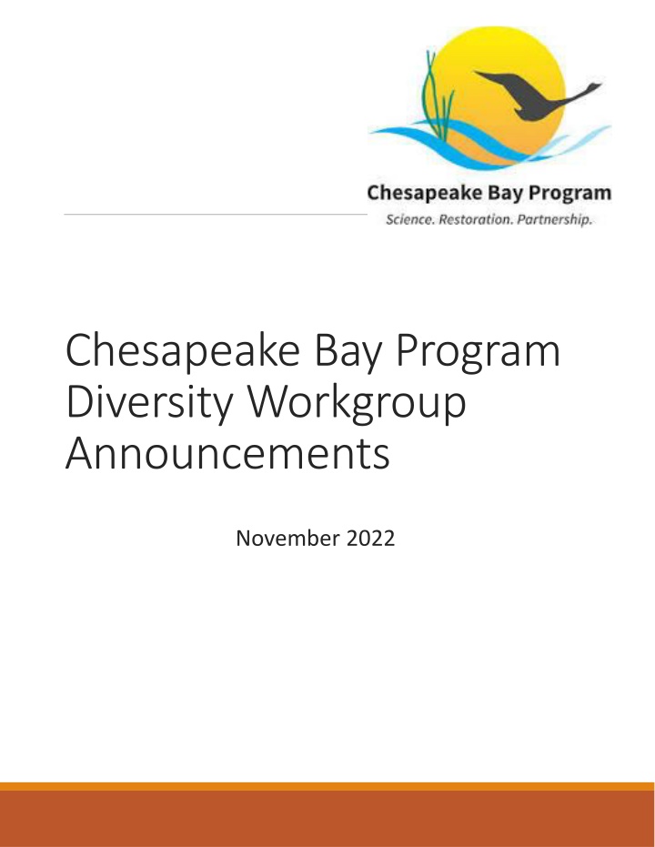 chesapeake bay program diversity workgroup