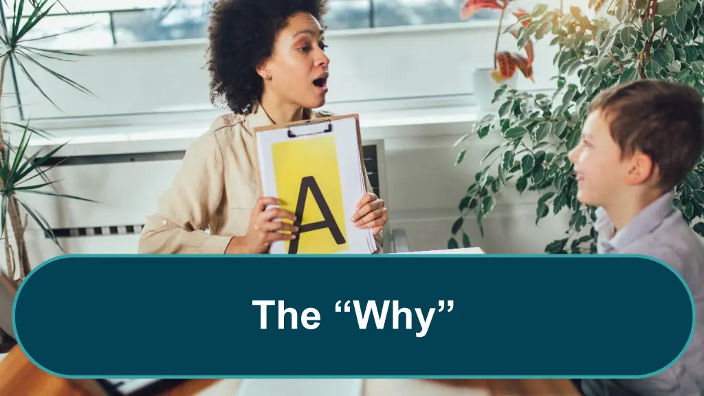 the why 1