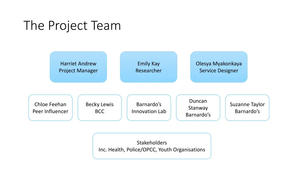 the project team