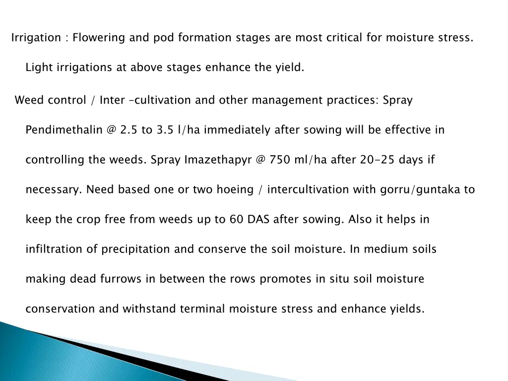 irrigation flowering and pod formation stages