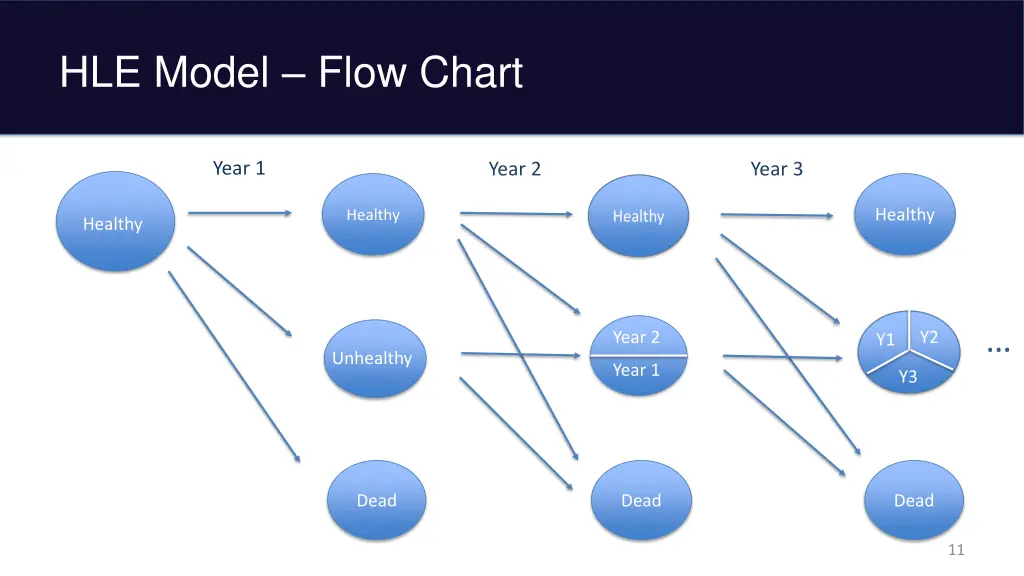 hle model flow chart
