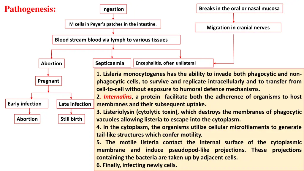 pathogenesis