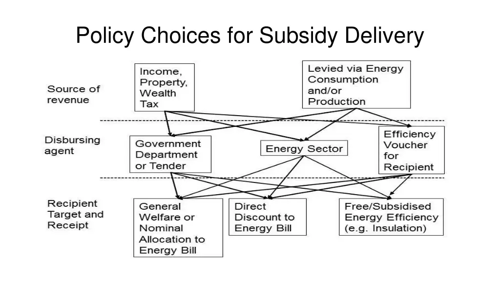 policy choices for subsidy delivery