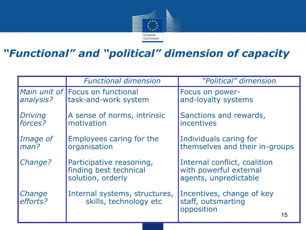 functional and political dimension of capacity