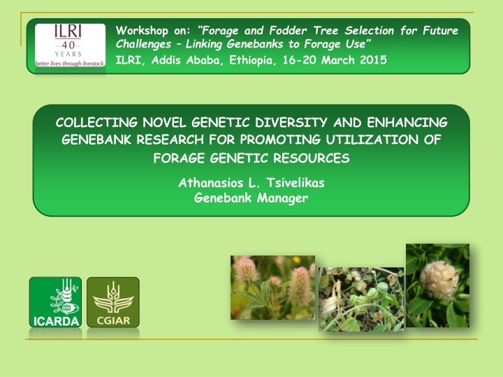 workshop on forage and fodder tree selection