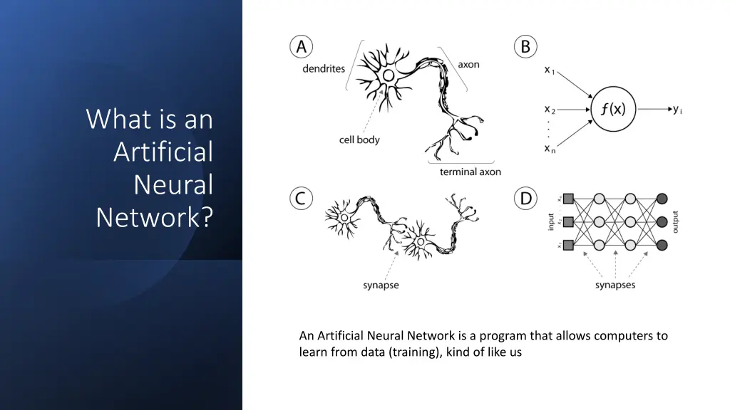 what is an artificial neural network