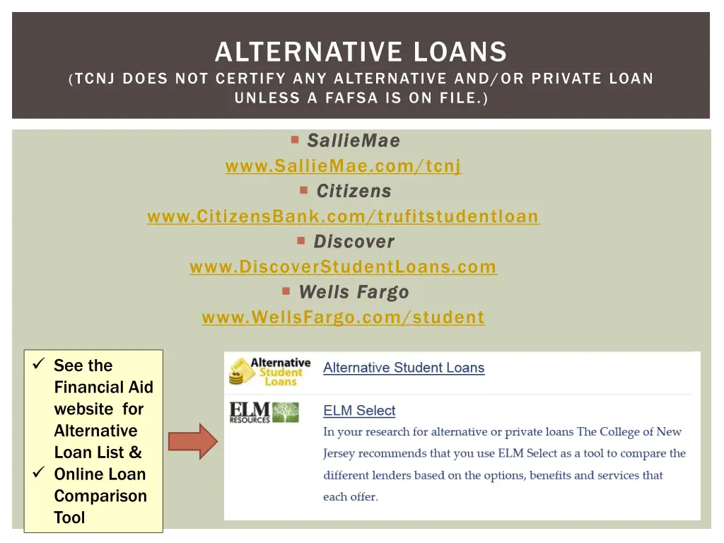 alternative loans