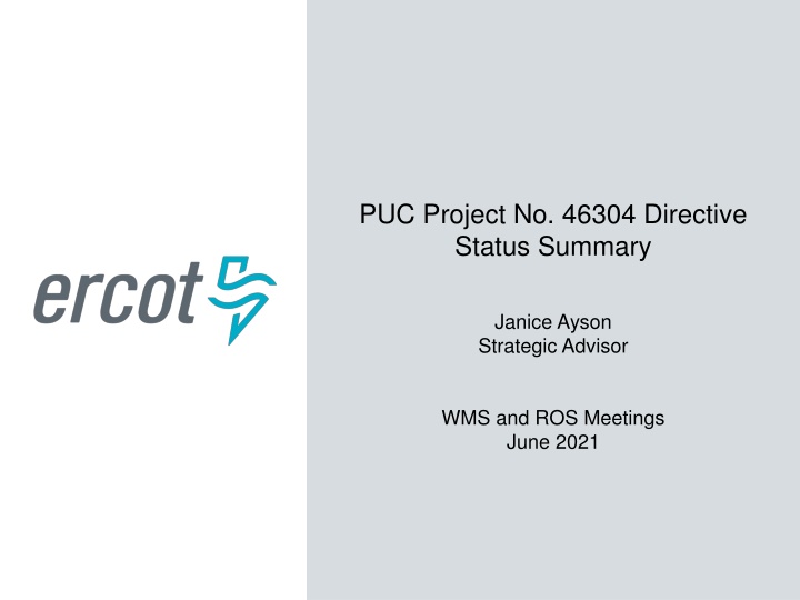 puc project no 46304 directive status summary