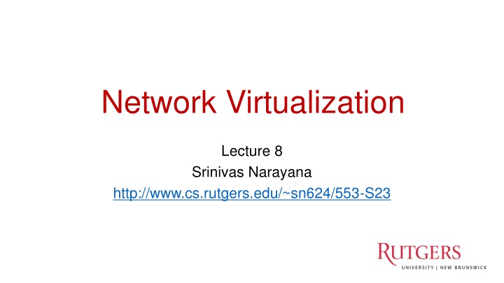 network virtualization