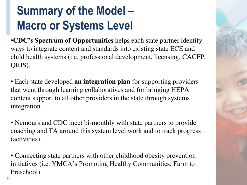summary of the model macro or systems level